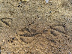 河砂如何形成的?與機(jī)制砂機(jī)有什么區(qū)別? 河砂如何形成的?與機(jī)制砂機(jī)有什么區(qū)別?