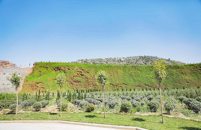 湖北省赤壁市導考察礦山生態修復及環境治理情況